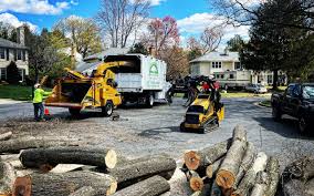 Best Weed Control  in Appleton, MN