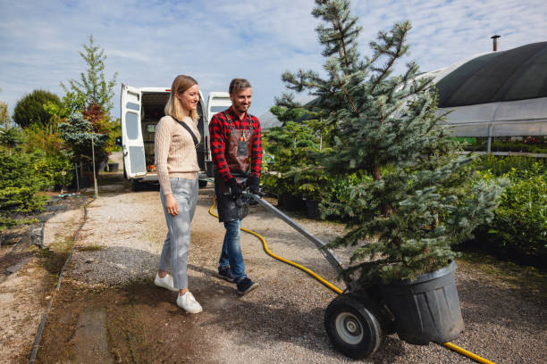 Best Hazardous Tree Removal  in Appleton, MN